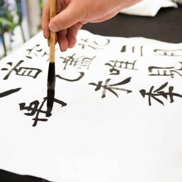 К какой языковой семье и группе относится китайский язык?